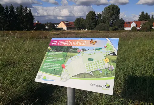 Im Vordergrund die Hinweistafel und im Hintergrund die Lohbauerwiese.