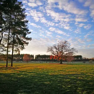 Blick über die Freiflächen des Hainbergs im Herbst
