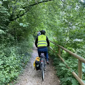 Blick von hinten auf eine Gruppe Radfahrer auf einem Radweg 