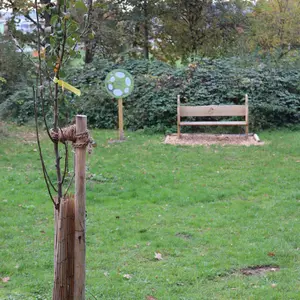Im Vordergrund ein Obstbaum, im Hintergrund eine Bank im Lern- und Begegnungsort. 