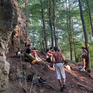 Eine Gruppe von Jugendlichen, von hinten fotografiert, wandern durch einen Wald.