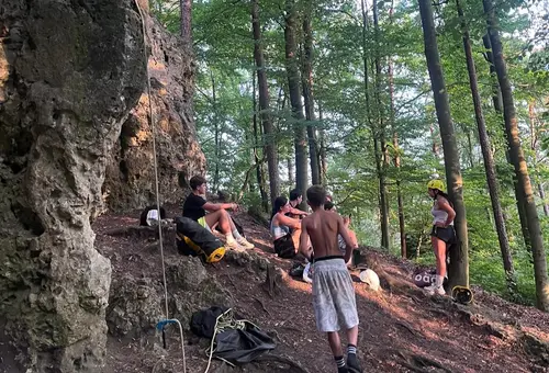 Eine Gruppe von Jugendlichen, von hinten fotografiert, wandern durch einen Wald.