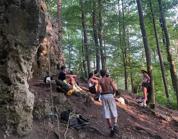 Eine Gruppe von Jugendlichen, von hinten fotografiert, wandern durch einen Wald. 