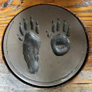 Fußabdrücke von Waschbären als Messingrelief