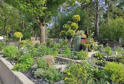 Nahaufnahme einer im Sommer 2022 neu entstandenen Grünanlage am städtischen Friedhof