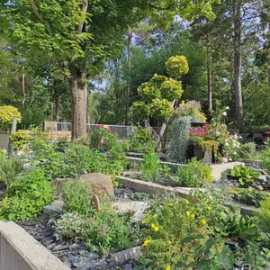 Nahaufnahme einer im Sommer 2022 neu entstandenen Grünanlage am städtischen Friedhof