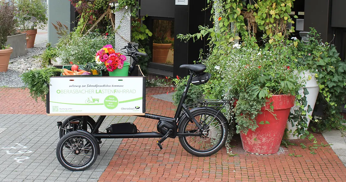 Lastenrad mit Transportkasten vorn gefüllt mit Gemüseeinkäufen