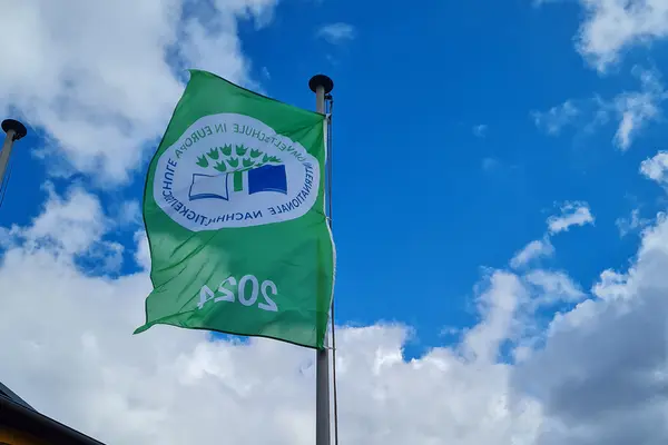 Eine Grüne Flagge weht vor blauem Himmel.
