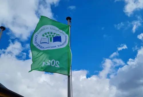 Eine Grüne Flagge weht vor blauem Himmel.