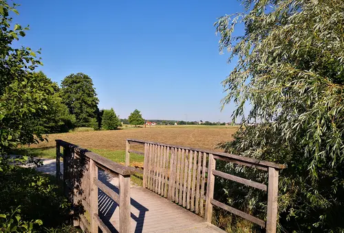 Holzbrücke im Vordergrund, dahinter gemähte Wiesen mit Heu darauf
