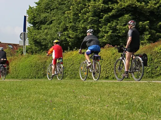 Vier Radfahrer in der Natur