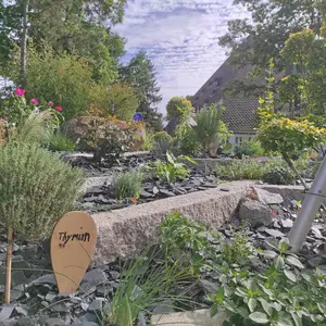 Nahaufnahme einer Grünanlage am städtischen Friedhof mit Kräutern im Vordergrund und der pyramidenförmigen Kirche St. Stephanus im Hintergrund