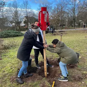 Drei Personen setzen einen jungen Baum kräftig in ein Pflanzloch. 