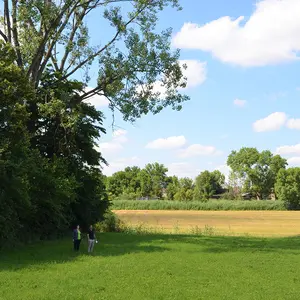 Wiese und Wald des Areals an der Jahnstraße bei herrlichem Sonnenschein