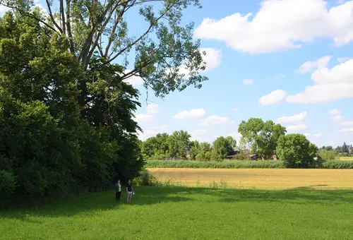 Wiese und Wald des Areals an der Jahnstraße bei herrlichem Sonnenschein