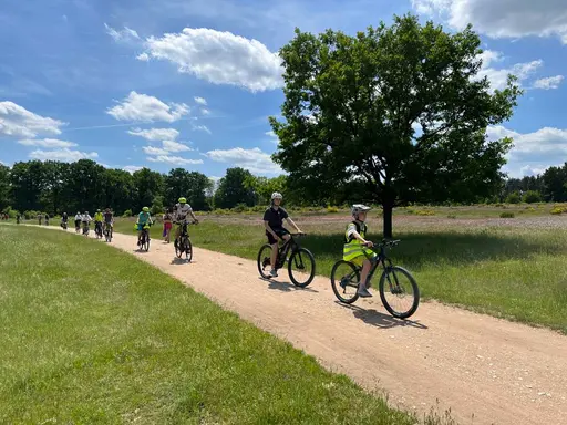 Mehrere Radler auf dem Weg durch den Hainberg