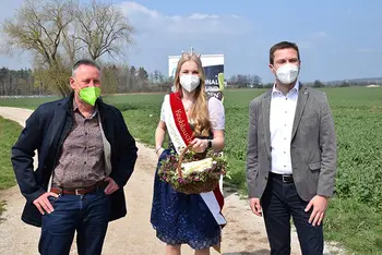 Saison eröffnet: Oberbürgermeister Dr. Thomas Jung, die Spargelprinzessin Ann-Katrin Meinert und Landrat Matthias Dießl konnten den ersten Spargel stechen.