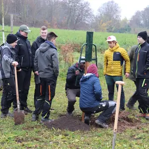 Eine Gruppe von Schülern pflanzt einen Baum 
