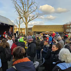 Viele Besucher stehen in bunten Kostümen vor der Bühne und warten auf den nächsten Programmpunkt. 