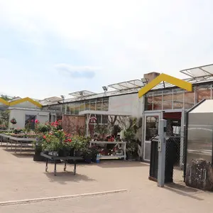 Blick auf den Hof einer Gärtnerei mit vielen Blumen und dem Haupteingang zum Gewächs- und Verkaufsraum.