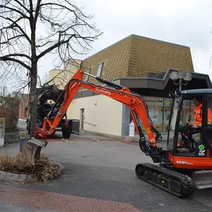 Vorsichtig wurde die Umgebung der Linde am Brunnen von einem Minibagger hinter dem Rathaus freigelegt ...