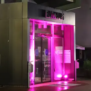 Der Eingangsbereich des Rathauses in lila Licht getaucht.