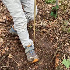 Erde um den Baum wird mit der Ferse festgetreten