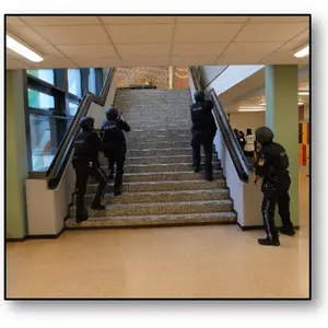 Vier Polzeipersonen in Kampfmontur und mit Helmen gehen mit gezückter Waffe eine Treppe nach oben.