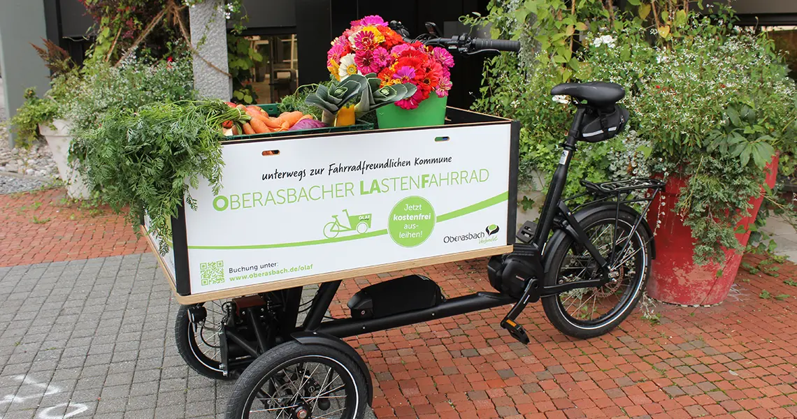 Lastenrad mit Transportkasten vorn gefüllt mit Gemüseeinkäufen