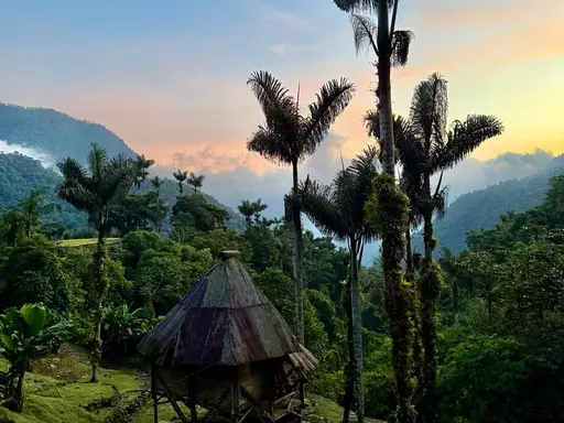 Berglandschaft mit Palmen 