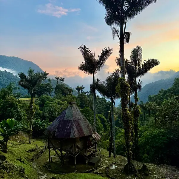 Berglandschaft mit Palmen 