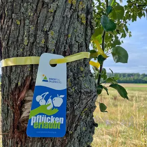 Ein Schild mit der Aufschrift "Pflücken erlaubt" hängt am Stamm eines Obstbaumes