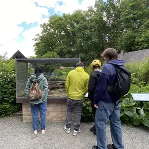 vier Personen betrachten ein Terrarium 