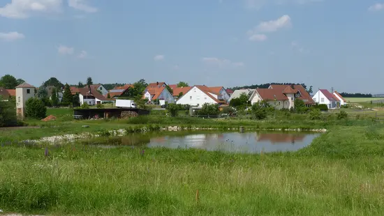 Ein Teich in einer Blumenwiese und die Gebäude von Rehdorf im Hintergrund