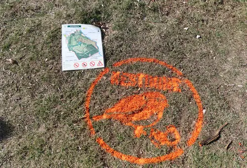 Oranges Logo zeigt brütende Vögel, aufgesprüht auf einer Grasfläche am Hainberg