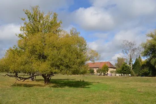 Stadtteil Neumühle vom Hainberg aus gesehen