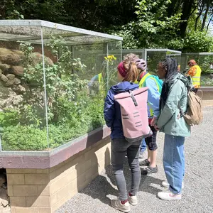 vier Personen betrachten ein Terrarium