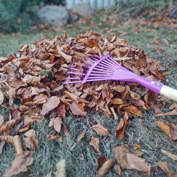 Eine Haufen braunes Herbstlaub, auf dem ein pinkfarbener Kinderrechen liegt