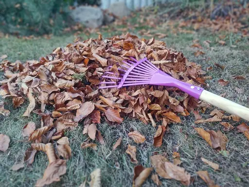 Eine Haufen braunes Herbstlaub, auf dem ein pinkfarbener Kinderrechen liegt